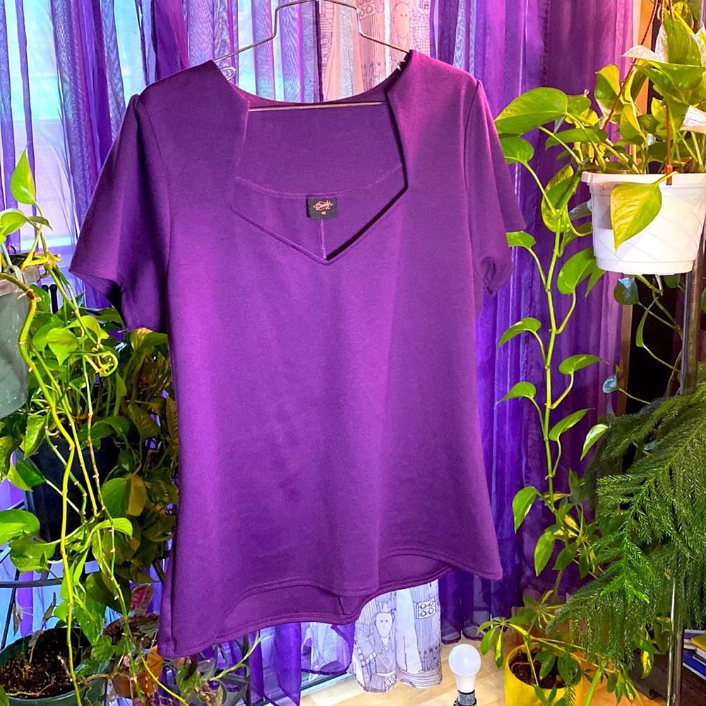 Rare Violet colored Sophia Top by Steady Clothing. Size 4X.